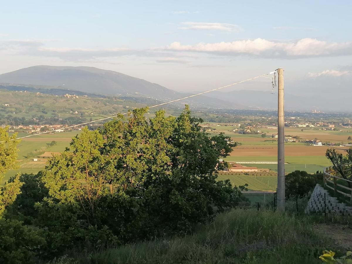 Villa Iliria Ripa Exteriör bild